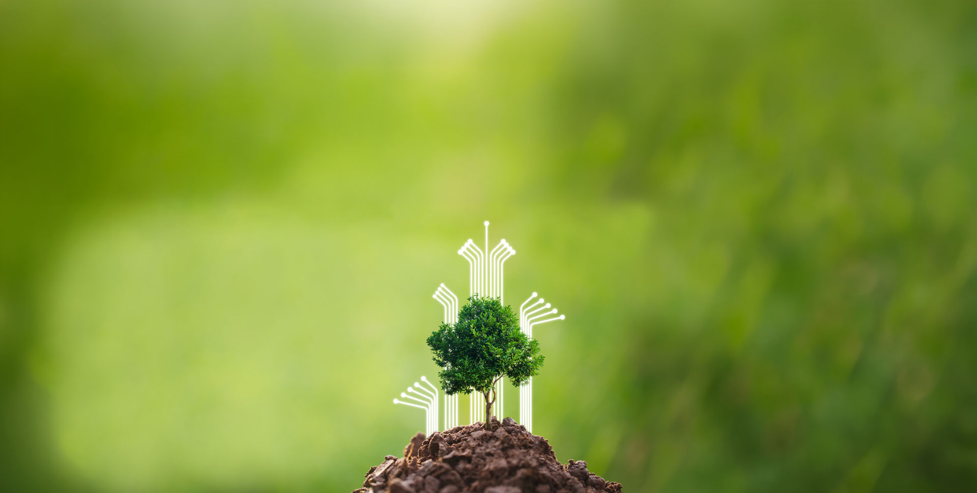 Carbon is no longer an ESG topic, it’s a cost line on your P&L